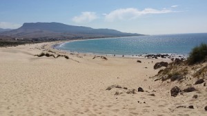 tarifa