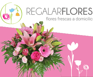 regalar flores