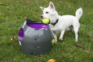 lanzador de pelotas para perros barato online 