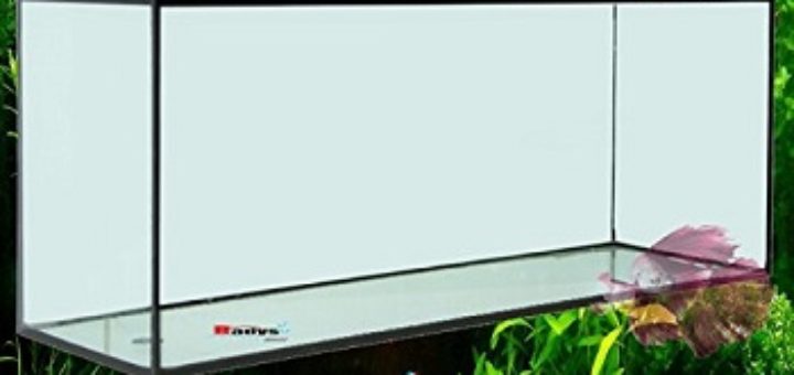 mejor pecera comprar online