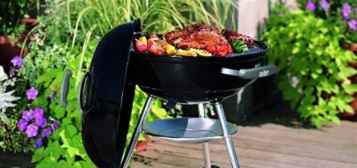 barbacoa weber compact precio barato