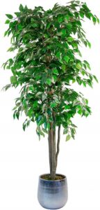 comprar ficus artificial precio barato online chollo